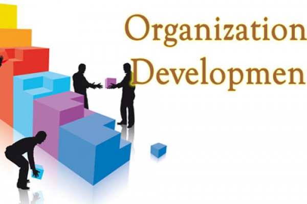 Defining Standards For OD Professionals