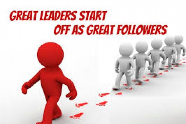 The Brand Leader