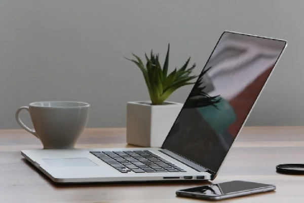 Desk Plants can reduce Workplace stress