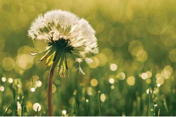 Spotting Potential In A 'Cognitive Talent' Era