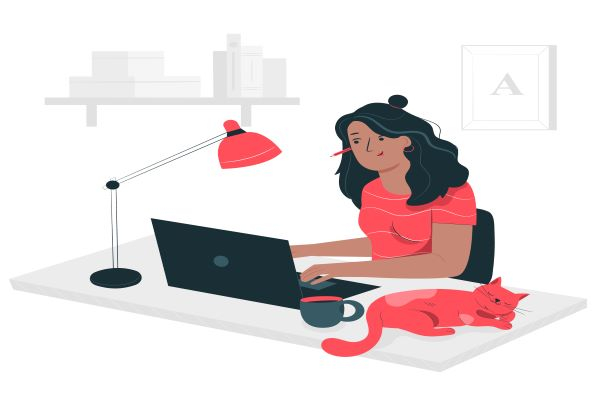 ConnectBud- the First Freelancing Platform for Students