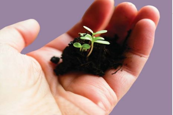 You Reap What You Sow