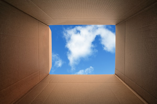 Leadership Development: Think Like There Is No Box